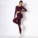 Conjunto de 2 piezas: Top mangas largas + calza.